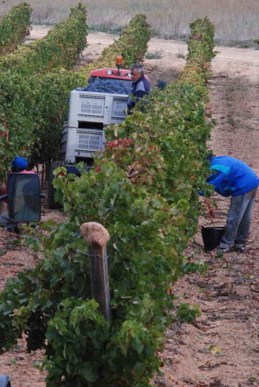 Landhuis Vilosell Wine El Vilosell