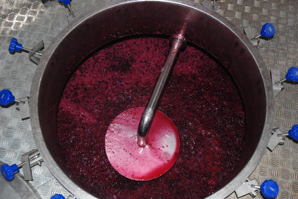 Vilosell Wine El Vilosell