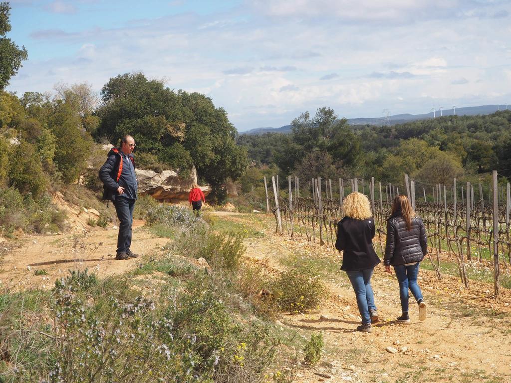 Country house Vilosell Wine