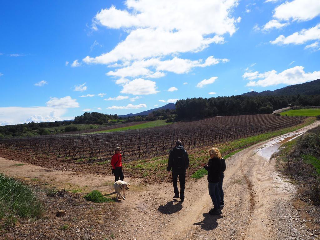 Vilosell Wine Country house