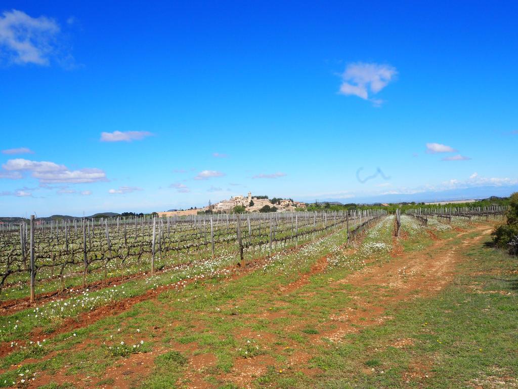 Vilosell Wine Country house *